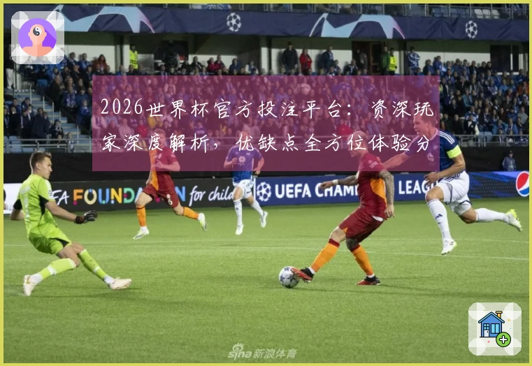 2026世界杯官方投注平台：资深玩家深度解析，优缺点全方位体验分享